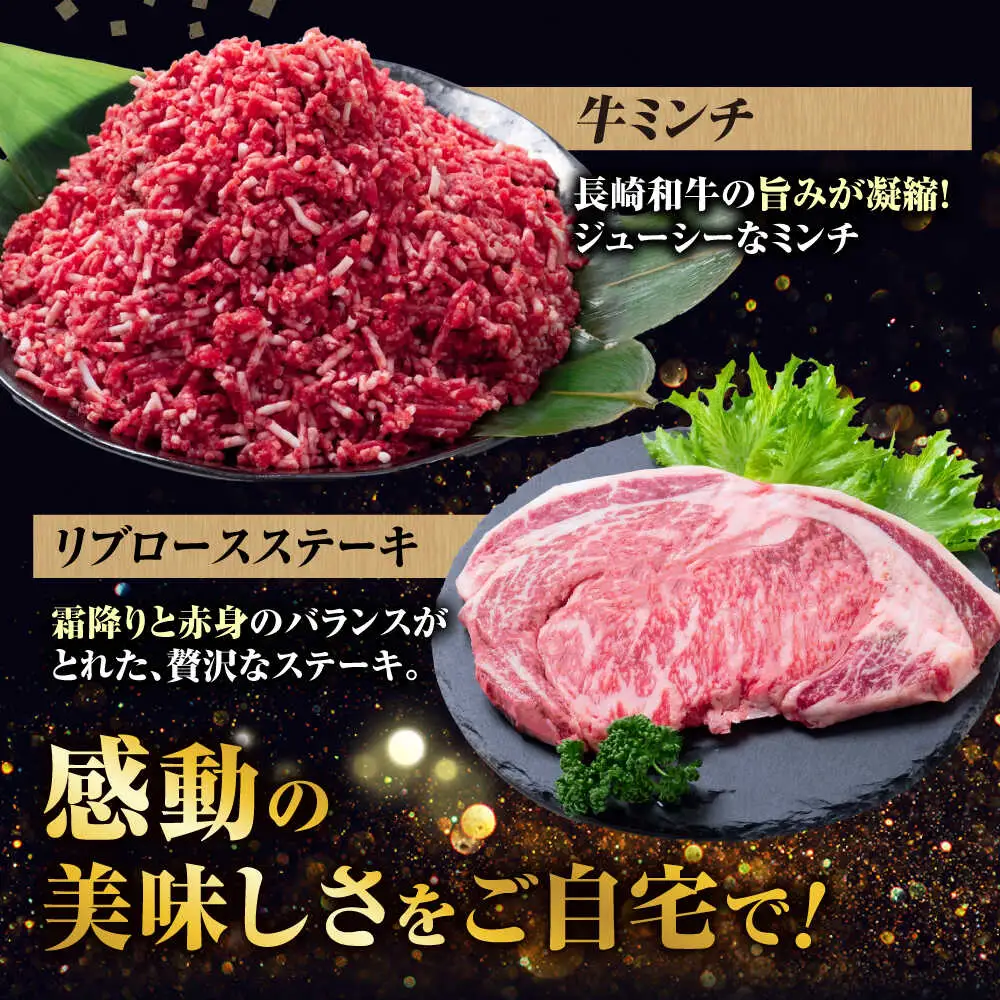【6回定期便】長崎和牛 定期便　トライアルコース 計3.4kg お楽しみ 牛肉 バラエティ定期便 国産 / サーロイン カルビ ロース しゃぶしゃぶ 牛ミンチ リブロース / 南島原市 / 水田精肉店[SDZ042]