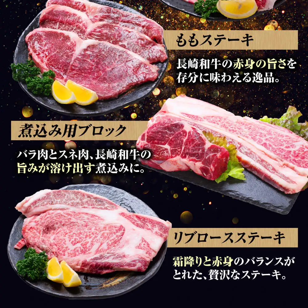 【12回定期便】希少部位 長崎和牛 定期便 プレミアムコース 計10kg お楽しみ 牛肉 バラエティ定期便 国産 / サーロイン もも カルビ ロース 焼き肉 すき焼き リブロースステーキ しゃぶしゃぶ 牛ミンチ ヒレ リブロース トモサンカク / 南島原市 / 水田精肉店[SDZ044]