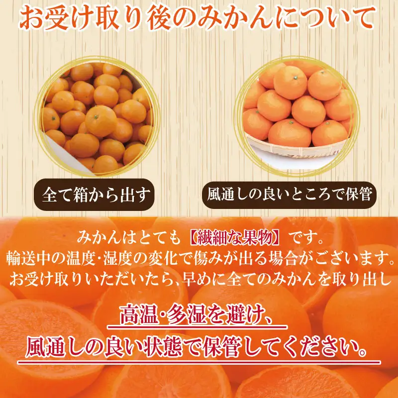 【2026年12月順次発送】 温州みかん 5kg 完熟 みかん