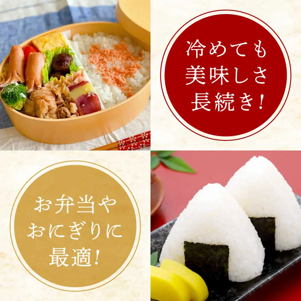 米 令和7年産 にこまる10kg [BAFU001] 米