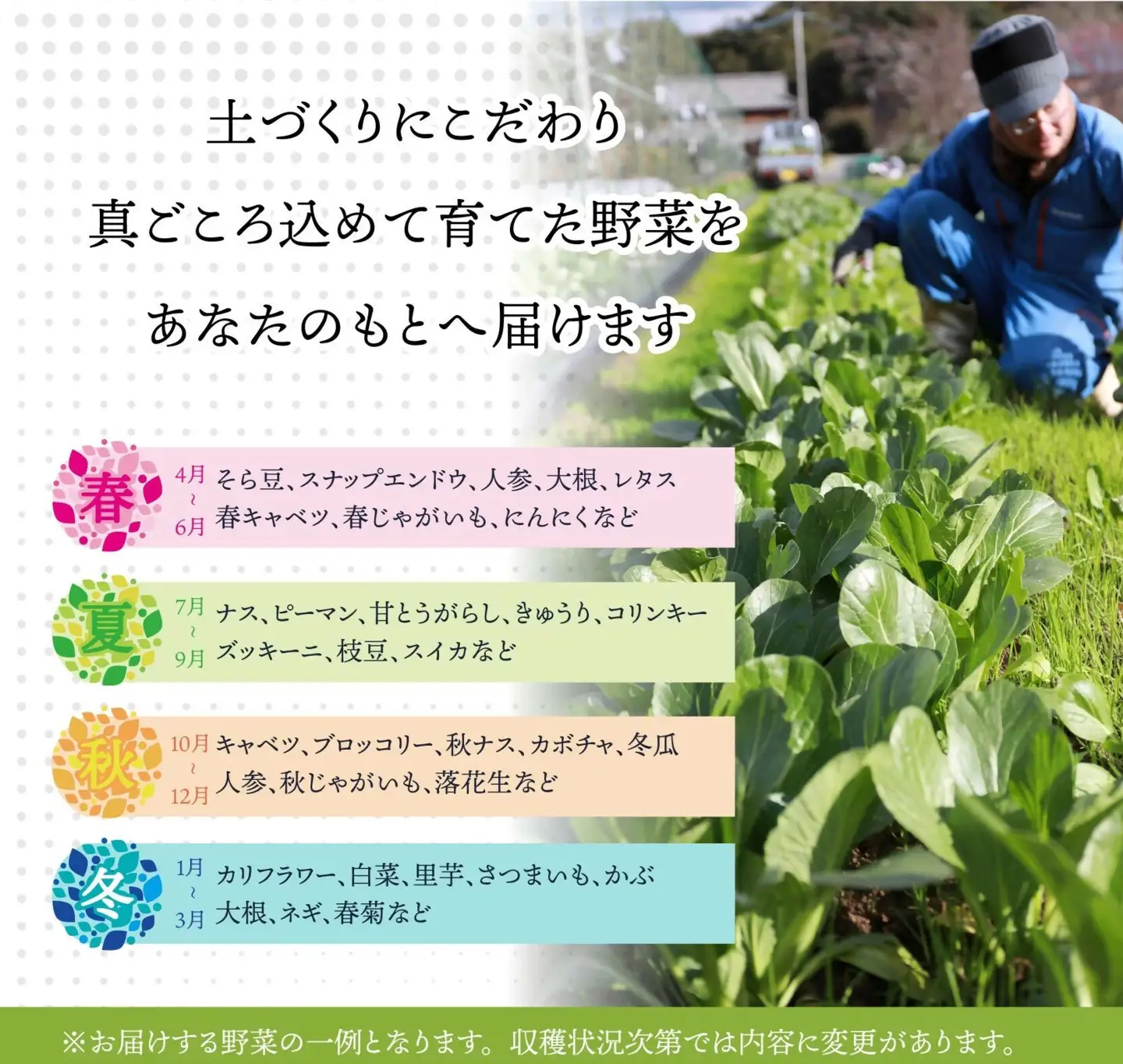 有機JAS認証 旬の野菜セット 8品【ぶたちゃんの畑】_HA1708