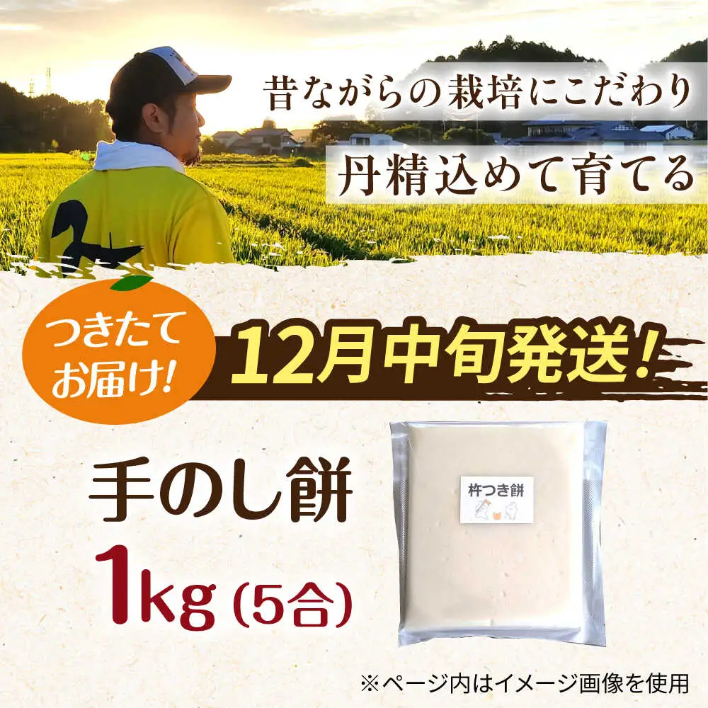 【12月中旬より発送】 みたけ のし餅 5合（約1kg）/餅 お餅 のしもち/御嵩町/株式会社アオキ[AVBN002]
