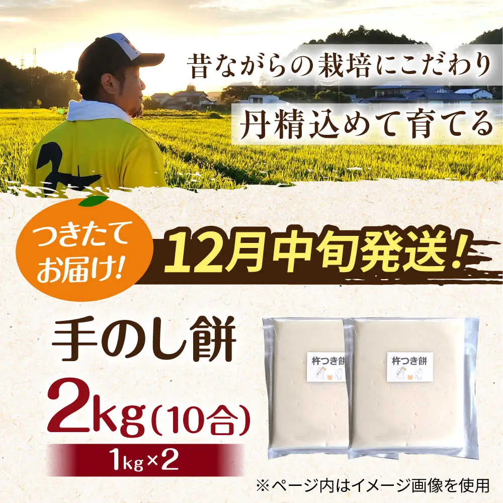 【12月中旬より発送】 みたけ のし餅 1升（約2kg）/餅 お餅 のしもち/御嵩町/株式会社アオキ[AVBN007]