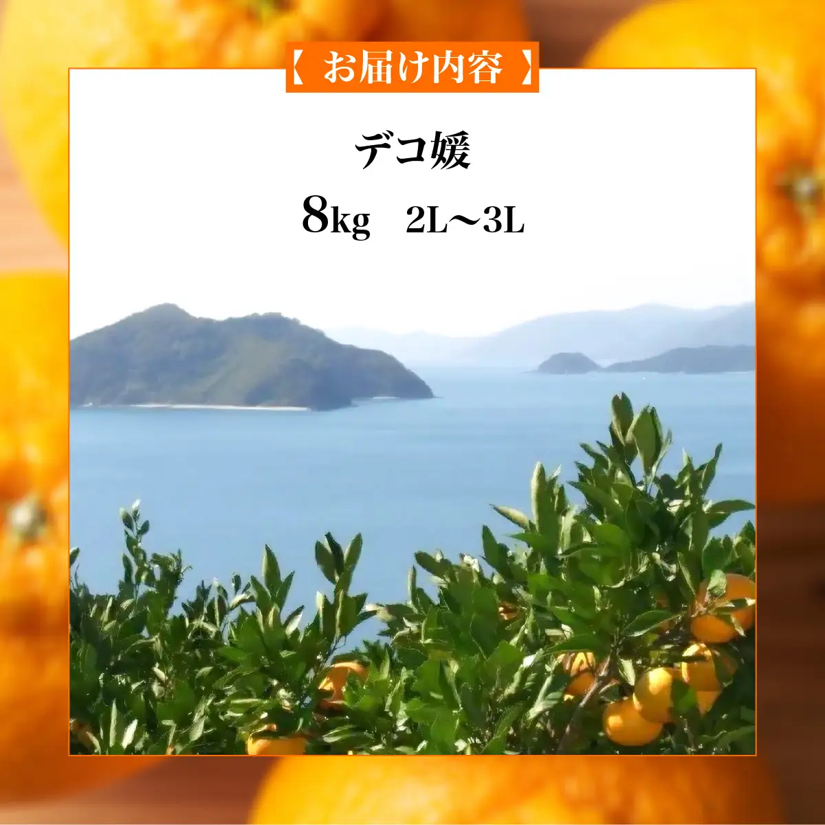 【先行予約】デコ媛 8kg（2L～3L）※離島への配送不可（2027年2月下旬頃より順次発送予定） IKTAR009