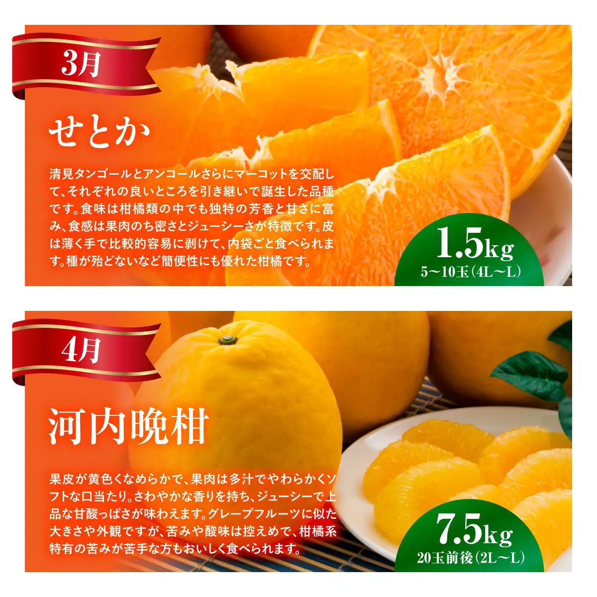 【愛媛県共通返礼品】【定期便】愛媛の柑橘定期便（全6回）（日の丸みかん・紅まどんな・いよかん・デコポン・せとか・河内晩柑） ※2026年11月～2027年4月に毎月1回発送予定  IKTAX018