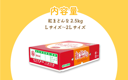 【先行予約】【贈答用】紅まどんな（生果2.5kg/L～2Lサイズ）※離島への配送不可（2026年12月上旬より順次発送予定） IKTBD002