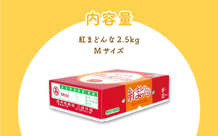 【先行予約】【贈答用】紅まどんな（2.5kg/Mサイズ）※離島への配送不可（2026年12月上旬より順次発送予定） IKTBD003