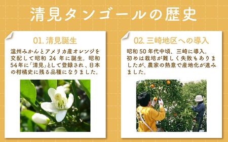 【先行予約】清見タンゴール（貯蔵・生果5kg）※離島への配送不可（2027年5月上旬～5月中旬頃より順次発送予定）  IKTBD007