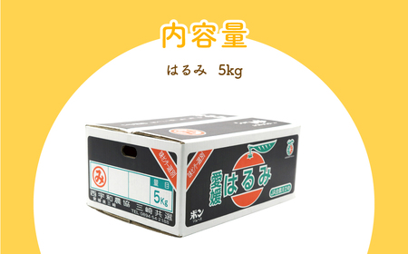 【先行予約】【数量限定】はるみ（生果5kg）※離島への配送不可（2027年1月下旬～2月上旬頃より順次発送予定） IKTBD009 | みかん みかん