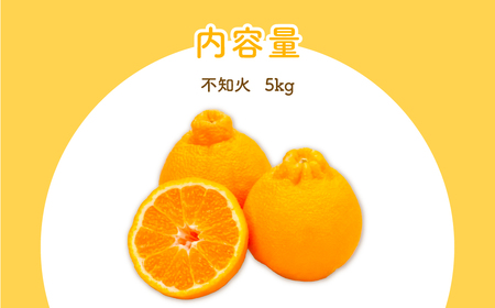 【先行予約】不知火（生果5kg）※離島への配送不可（2027年2月上旬～2月下旬頃より順次発送予定） IKTBD011