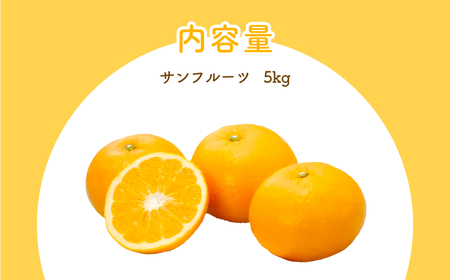 【先行予約】サンフルーツ（生果5kg）※離島への配送不可（2027年2月上旬～3月上旬頃より順次発送） IKTBD013
