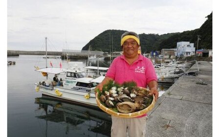 【数量限定】佐田岬海士のあわび・さざえセットB ※北海道・東北地方・沖縄・離島への配送不可 IKTJ002