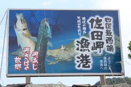 【一本釣り 匠の漁】天然アジ・三崎サバ一夜干しセット（各2枚） IKTJ005
