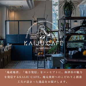 オリジナルご当地三種カレー詰め合わせ (南濃みかん・バターチキンカレー・鹿肉トマト) カレー ご当地カレー 詰め合わせ セット 岐阜 海津市