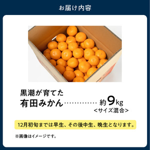黒潮が育てた 有田みかん 約9kg (サイズ混合)_AE6110