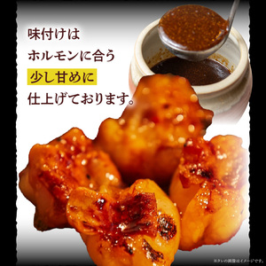 【食肉総合卸 丸正】厳選国産牛ホルモン焼肉用 [153M04]