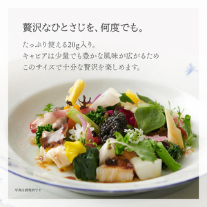 キャビア 黒耀 信州 黒曜石スプーン付 化粧箱入り キャビア【20g】【冷凍】
