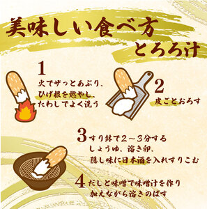 【予約受付】 自然薯 500g じねんじょ 山芋 ヤマイモ 山いも とろろ とろろ汁 国産 滋養強壮 強壮 とろろご飯 ご飯のお供 美味しい おいしい 自宅用 家庭用 贈答用 贈答 贈り物 ギフト やまあい農園 静岡県 牧之原市