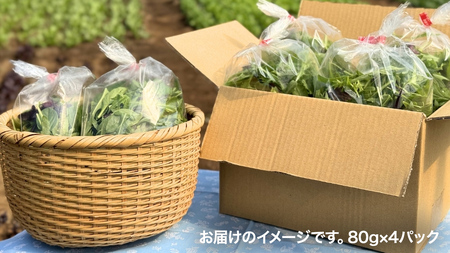 【 定期便 】3か月連続でお届け！ 黒澤農園 の ベビーリーフサラダ （ 80g × 4パック ）