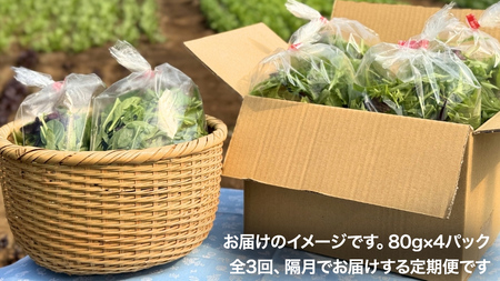 【 定期便 】全3回隔月でお届け！ 黒澤農園 の ベビーリーフサラダ （ 80g × 4パック ）
