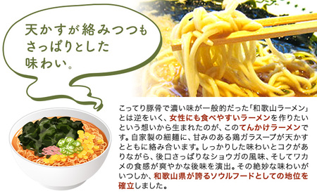 ラーメン てんかけラーメン 6食 玉林園