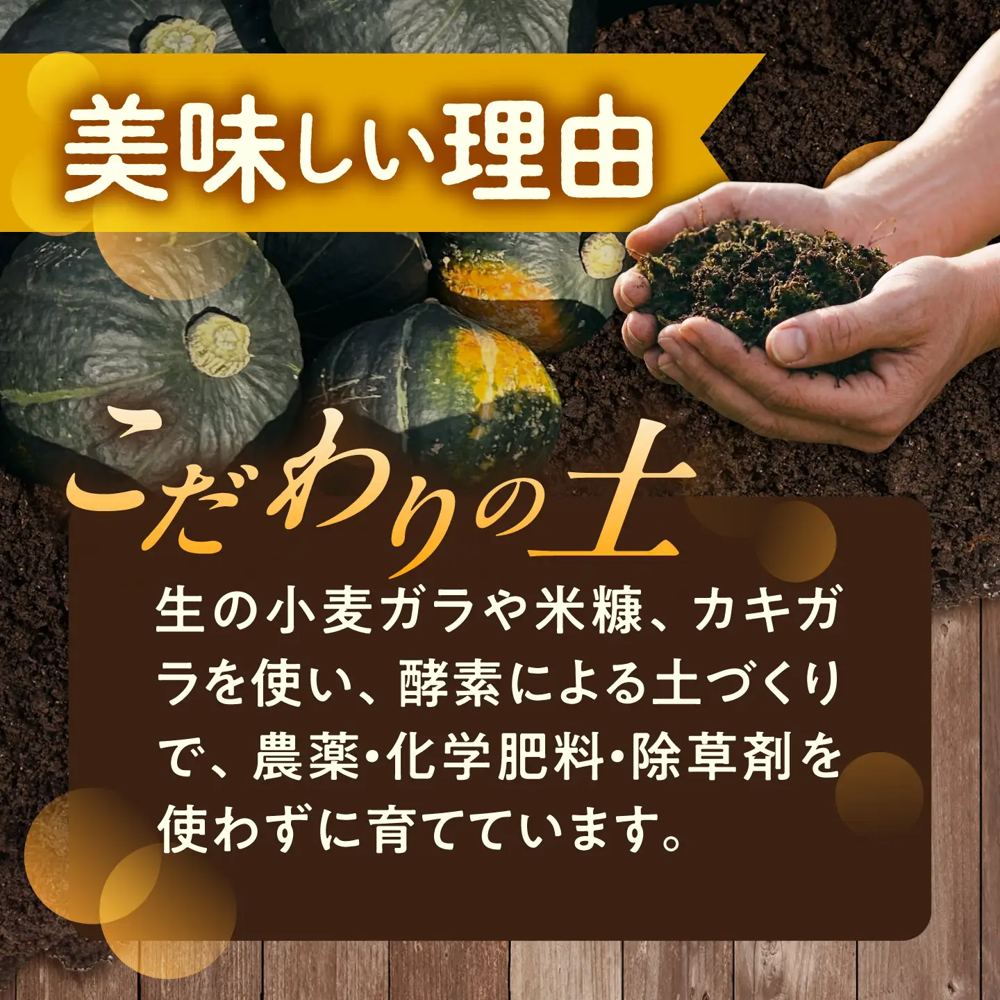 【先行予約】北海道 かぼちゃ 特濃こふき 2個 【9月中旬以降発送】足寄町/足寄アグリバイオ株式会社 [BEAC011]
