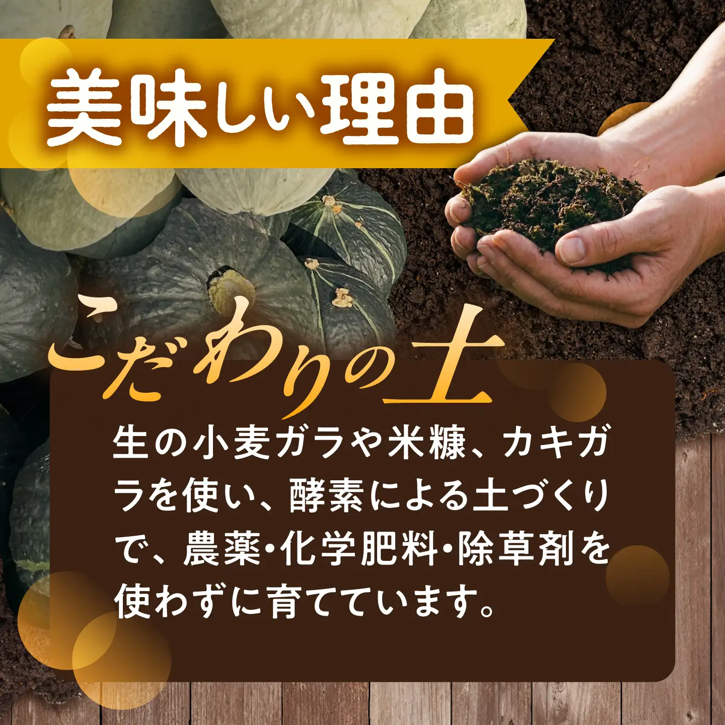 【先行予約】北海道 かぼちゃ 訳あり ダークホース・とっておき・特濃こふき 3種類×1個 【9月中旬以降発送】足寄町/足寄アグリバイオ株式会社 [BEAC014]