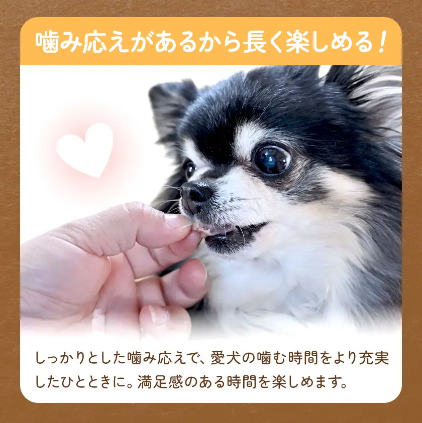 ペットのデンタルケア えぞ鹿の角 Sサイズ 株式会社K