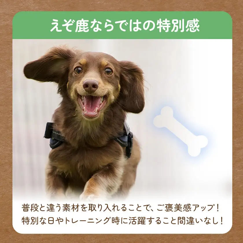 プレミアムペットフード えぞ鹿リブ 100g×2袋 株式会社K
