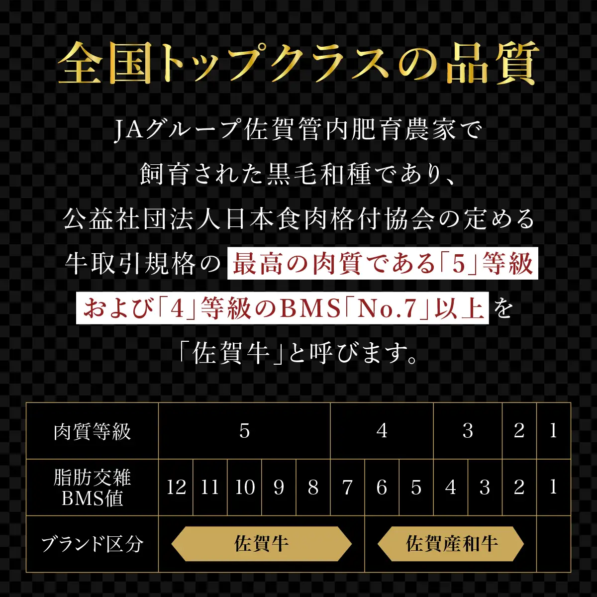 佐賀牛入り特製ハンバーグ 120g×10個