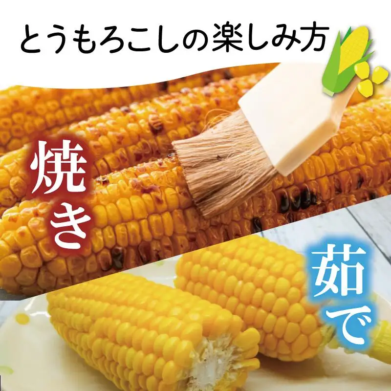 明和町産 朝採れ とうもろこし ゴールドラッシュ 10本～12本 BBQ 人気 トウモロコシ 生 野菜 新鮮 採れたて 産地直送 朝どれ 甘い 期間限定 国産 旬 夏野菜 きたむら