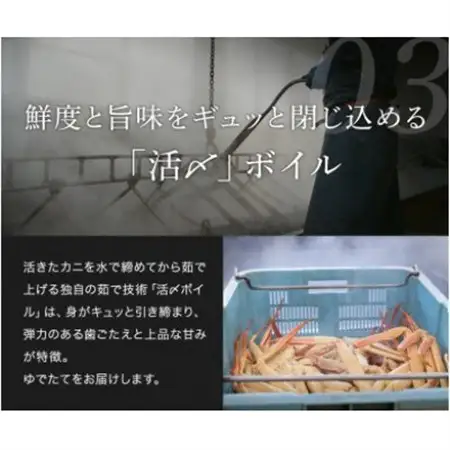 【蟹セレブ】タグ付き活〆ボイル・松葉がに(大・800g前後)【配送不可地域：離島・北海道・沖縄県・東北・関東・信越、北陸・東海・九州】【1543634】