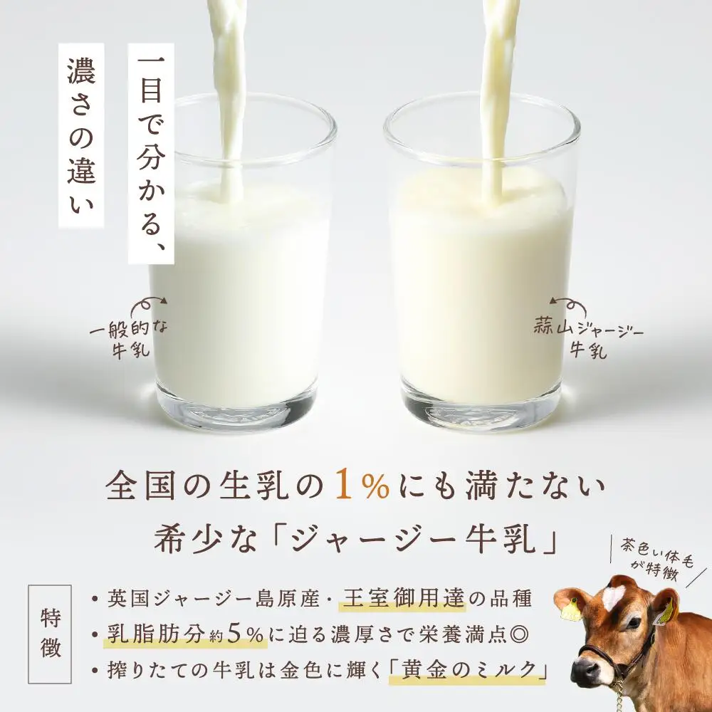 ヨーグルト ひるぜんジャージー贅沢ヨーグルト 90g×10個 【hiru002-01】