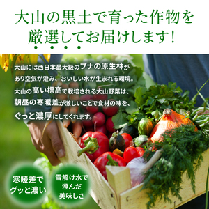 MS-04　新鮮朝採れ野菜セット 頒布会（計3回）