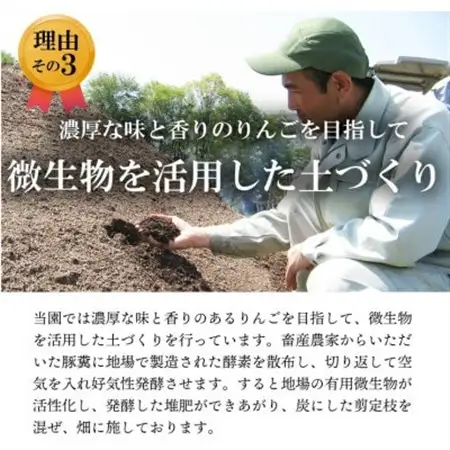 【南信州あじさい農園】葉とらずりんご(シナノリップ)約3kg【配送不可地域：離島】【1592838】
