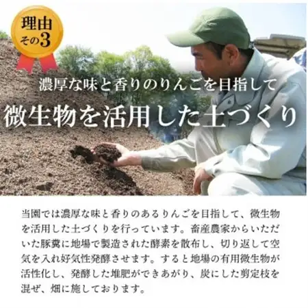 【南信州あじさい農園】葉とらずりんご(紅玉)約3kg【配送不可地域：離島】【1593196】