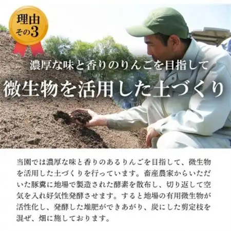 葉とらずりんご　紅玉　約4.5kg【配送不可地域：離島】【1593197】