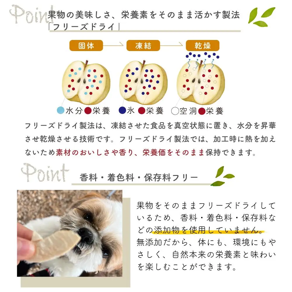 あたご梨のフリーズドライおやつ(22g×2袋) (岡山県産) 【KF-F001-01】
