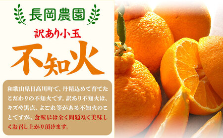 訳あり 小玉 不知火 ( デコポン ) 約10kg