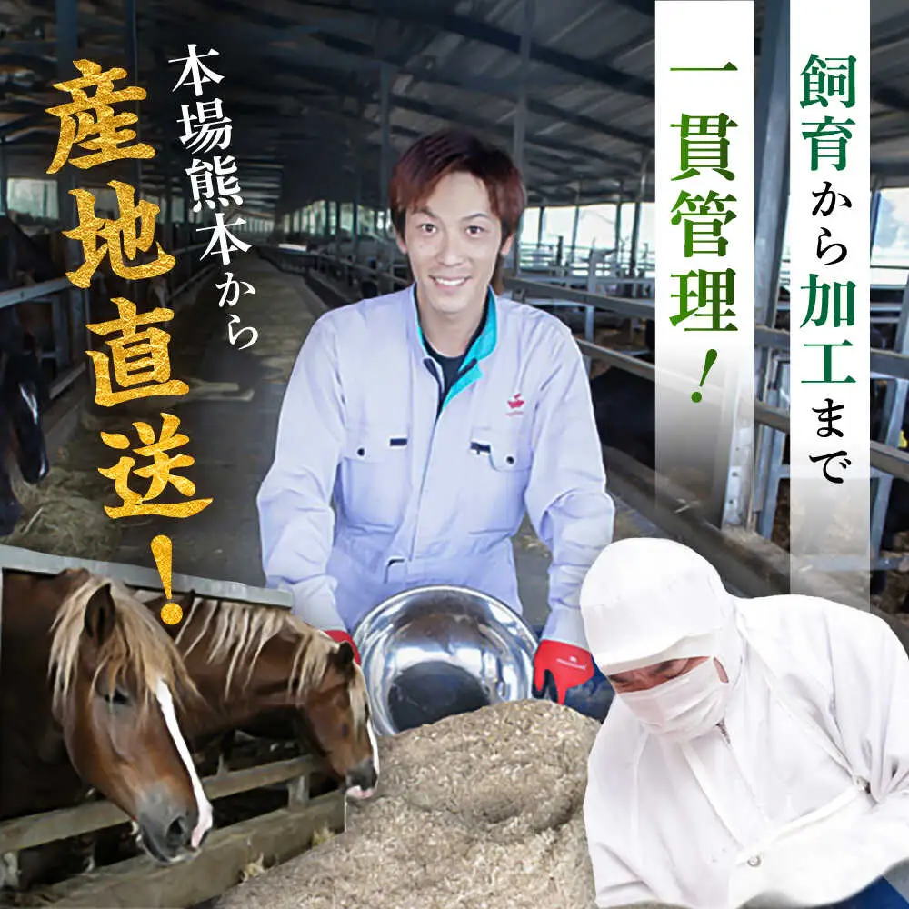 「フジチク」ユッケ2種の贅沢食べ比べセット ユッケ[BHAD109]