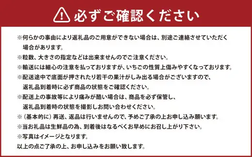春のあまおう（2L・2A・G規格以上 4パック）いちご 苺 イチゴ フルーツ 果物【2027年3月上旬～4月下旬発送予定】
