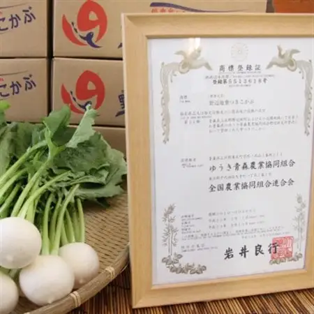 生で食べられる!皮まで丸ごと美味しい!野辺地葉つきこかぶ(10kg入)【配送不可地域：離島・沖縄県・九州】【1542460】