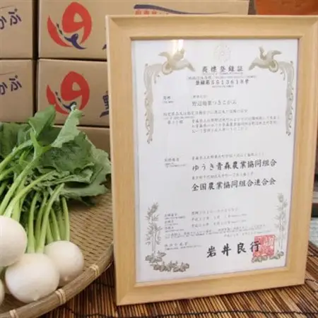 生で食べられる!皮まで丸ごと美味しい!野辺地葉つきこかぶ(5kg入)【配送不可地域：離島・沖縄県・九州】【1542452】