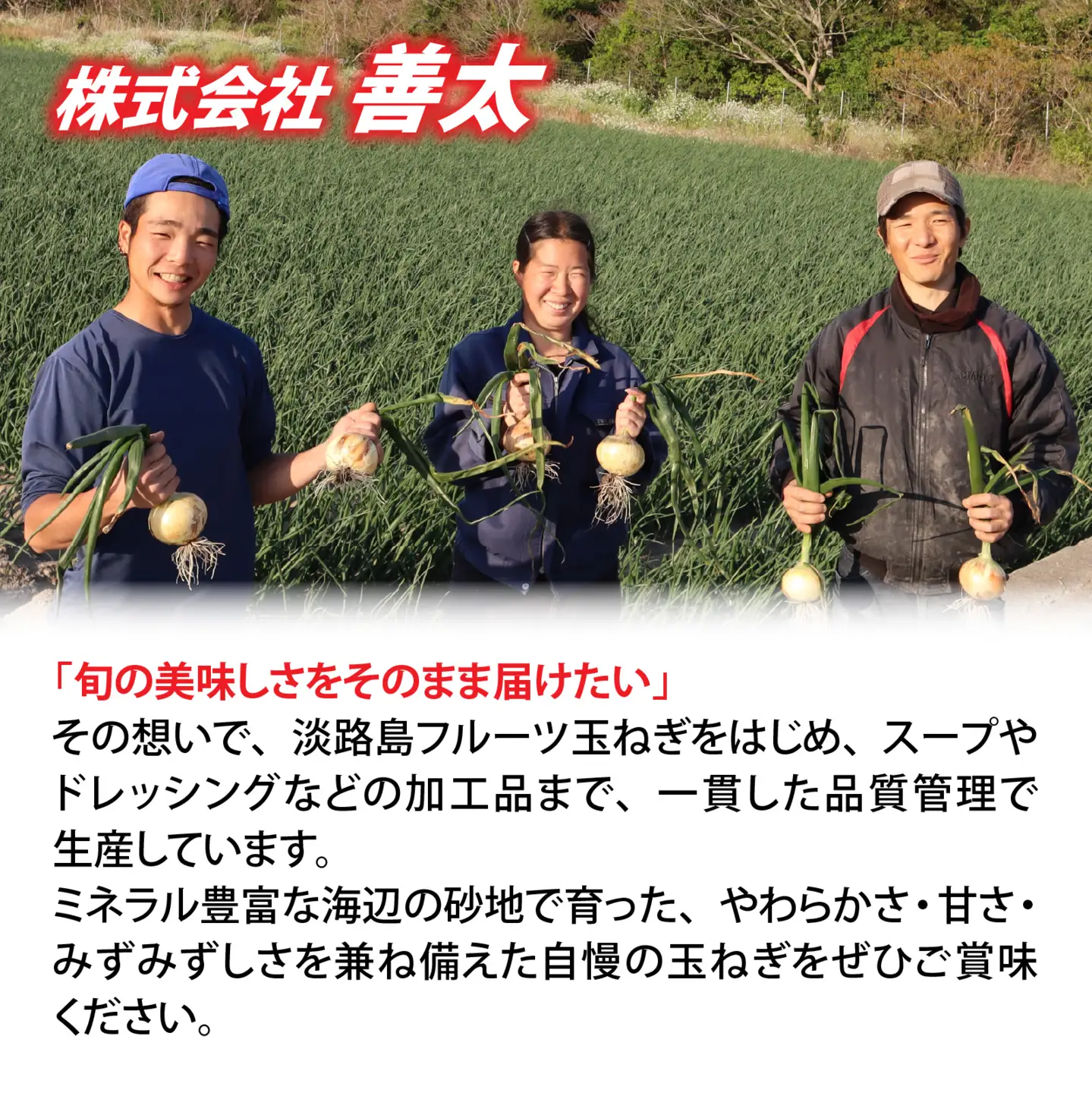 淡路島産 熟成フルーツ玉ねぎ 4kg【サイズ色々】 / 玉ねぎ