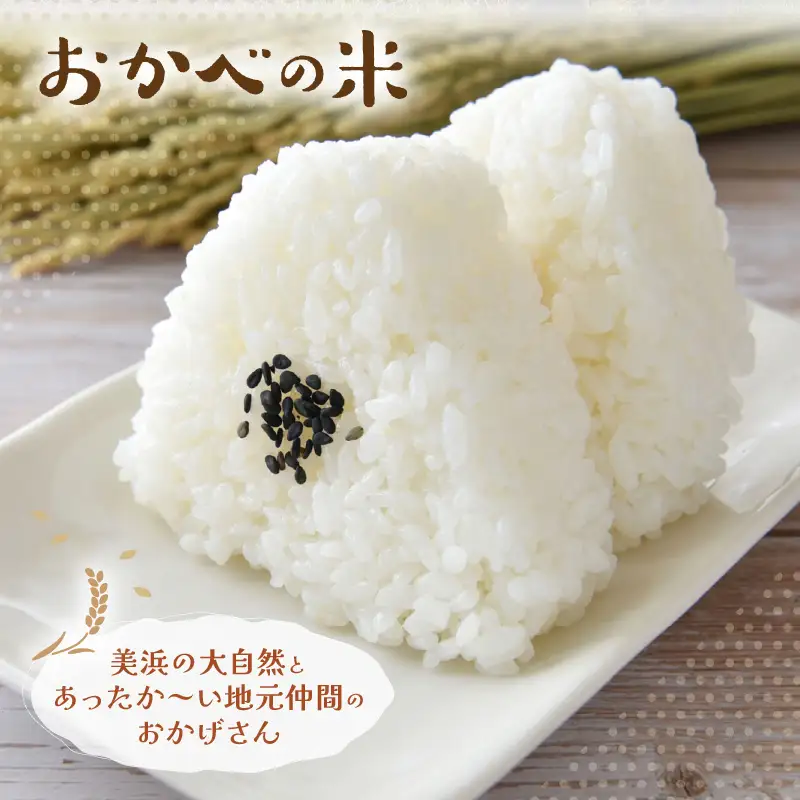 令和8年産 愛情たっぷり健やかに育った もちもち 甘い コシヒカリ（白米）10kg【新米 米】 [m29-b007]