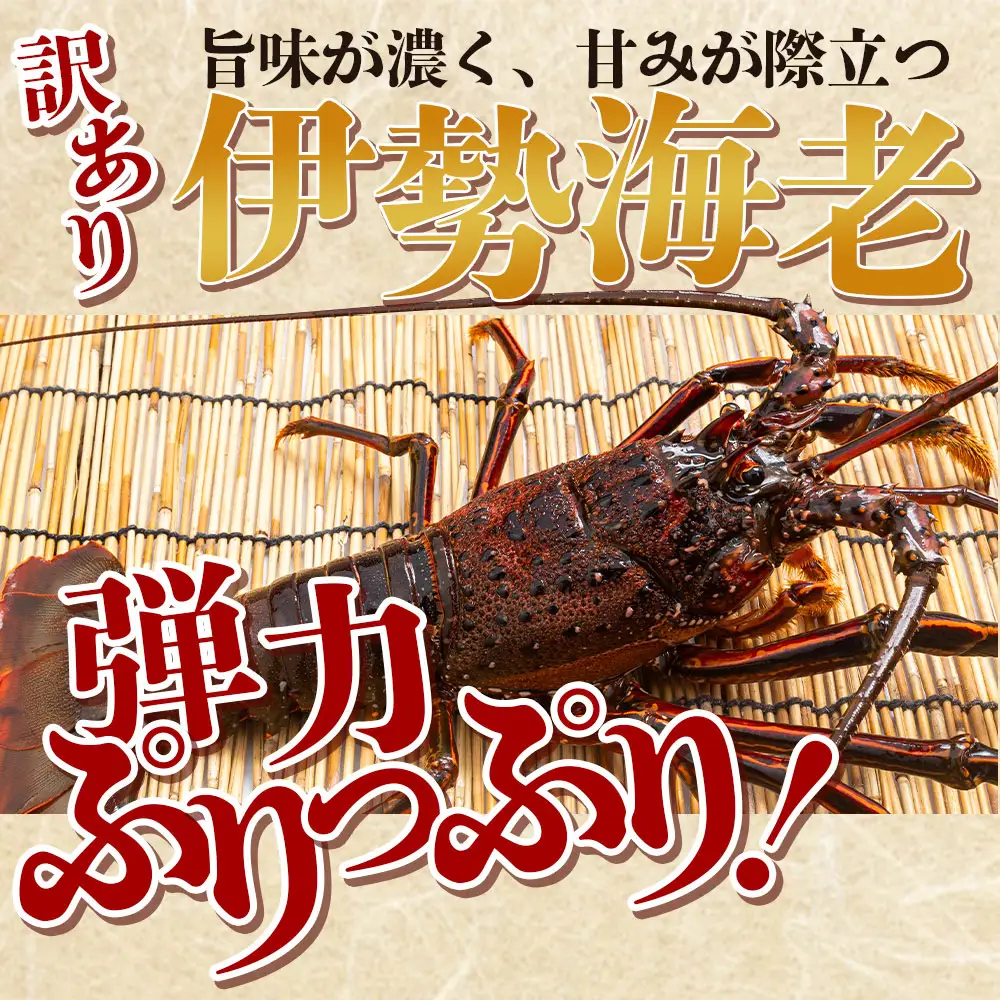 海鮮バーベキューセット(伊勢海老・岩ガキ) 4〜5人前 海鮮 eb-0038