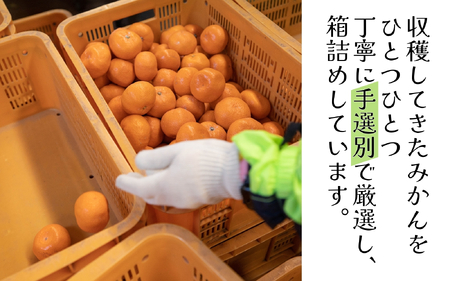 【手選別】有田 みかん 5kg（S～Lサイズ）※11月下旬～翌年1月中旬頃【hdm005】