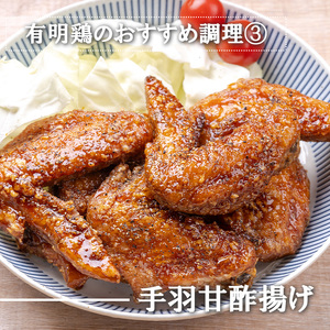 BN133_有明鶏手羽先２ｋｇ入（500ｇｘ4ｐ）