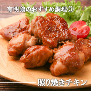 BN132_有明鶏むね2ｋｇ入（500ｇｘ4ｐ）