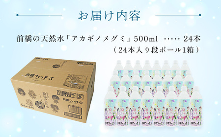 水 ミネラルウォーター 前橋ウィッチーズラベル 500ml 24本 | 水